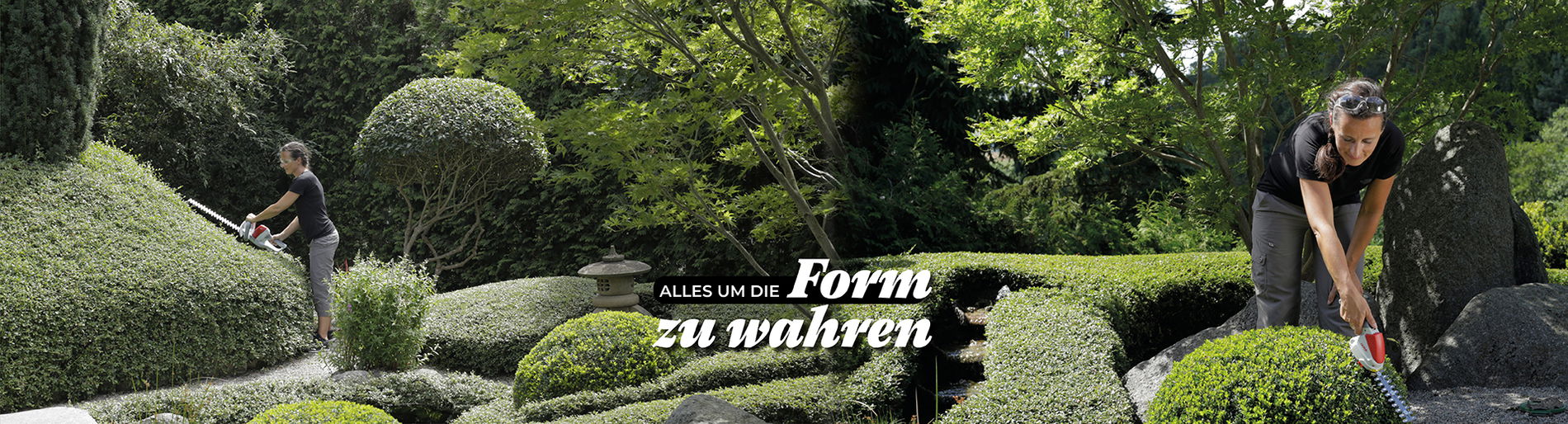 Frau schneidet in ihrem gepfegten GArten Hecken in Kugelformen